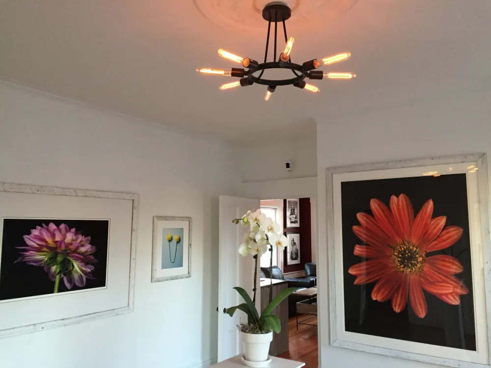 Gallery of floral photography inside the inn